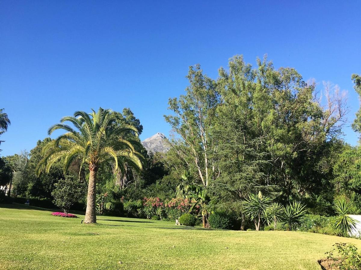 マルベーリャNueva Andalucia - Penthouseアパートメント エクステリア 写真